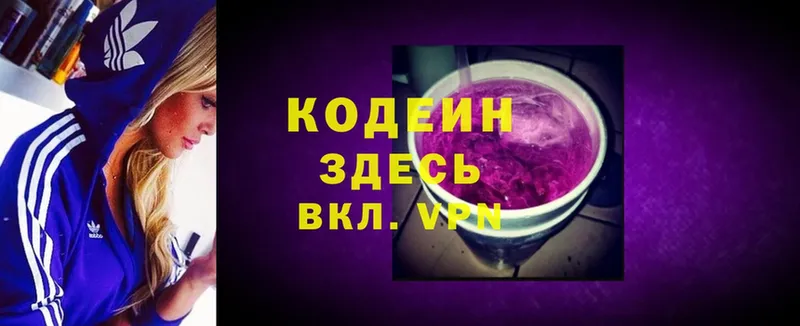 цена наркотик  маркетплейс официальный сайт  Кодеиновый сироп Lean Purple Drank  Нытва 